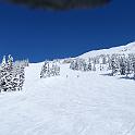 whistler (34)